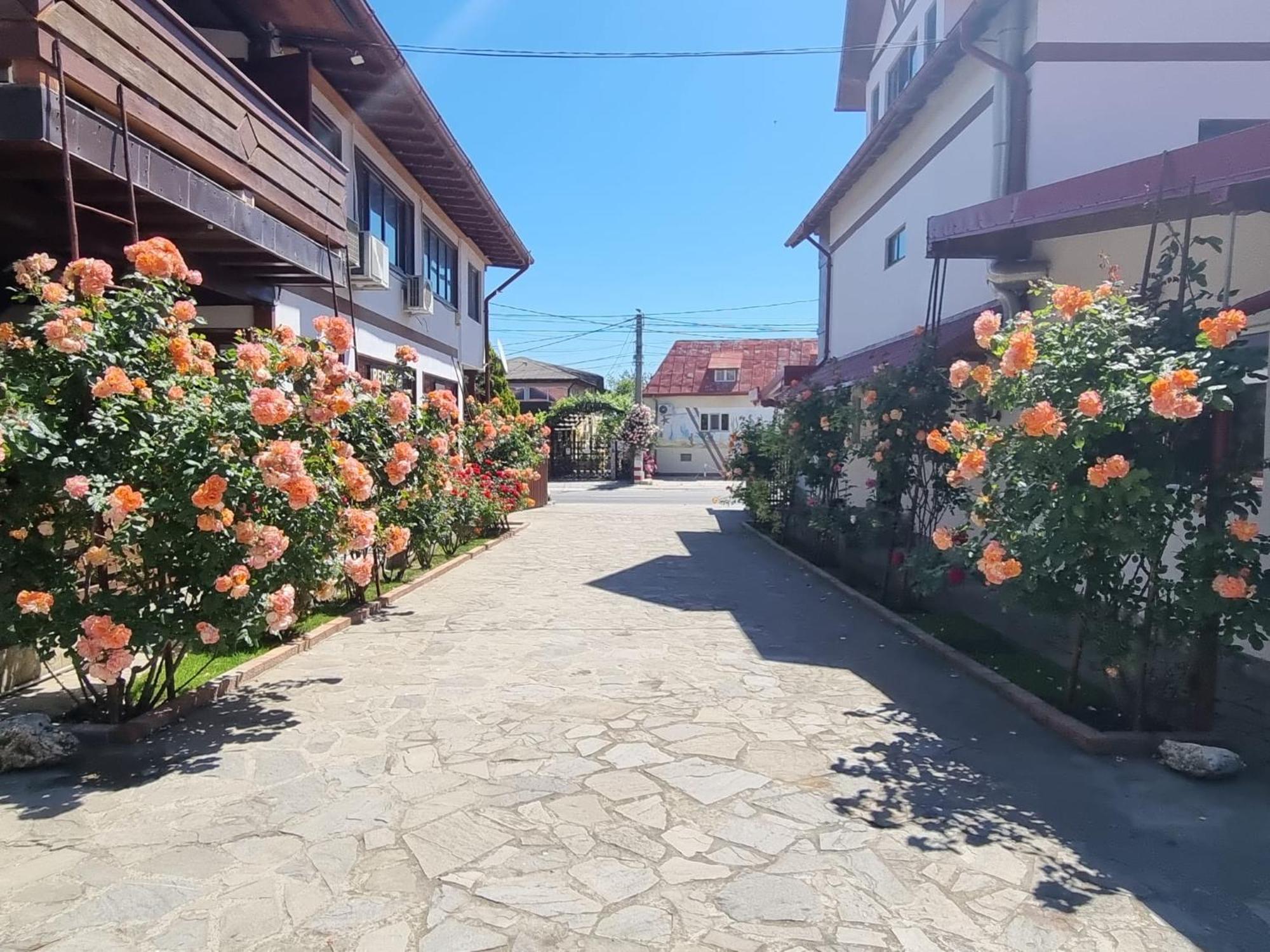 Casa Luca Hotell Vama Veche Eksteriør bilde